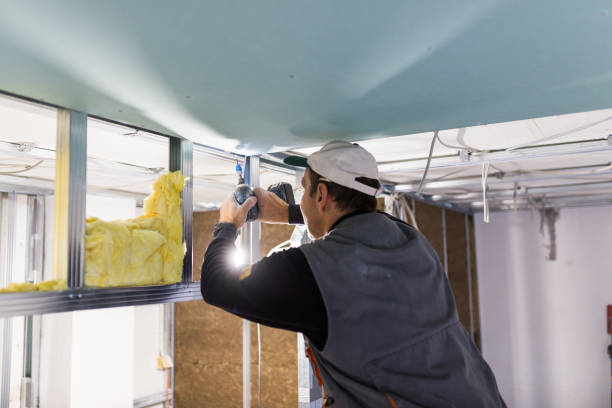 Best Insulation Replacement Services  in La Fayette, AL