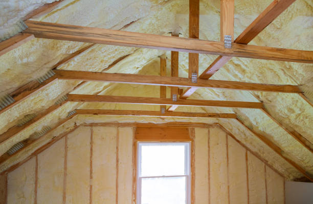 Best Attic Insulation Installation  in La Fayette, AL