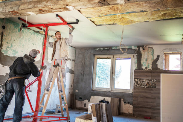 Best Insulation Removal  in La Fayette, AL