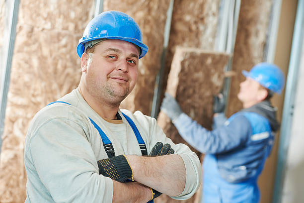 Best Attic Insulation Installation  in La Fayette, AL