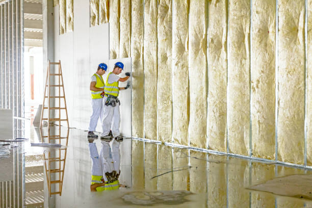 Best Wall Insulation Contractor  in La Fayette, AL